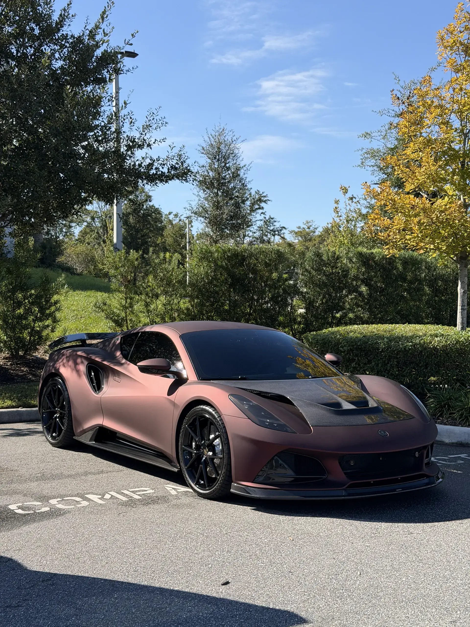 Lotus - 2025-11- 01- full detail 03-2 1920x2560